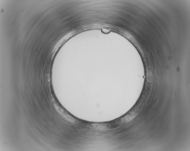 X0000052580954200507292029