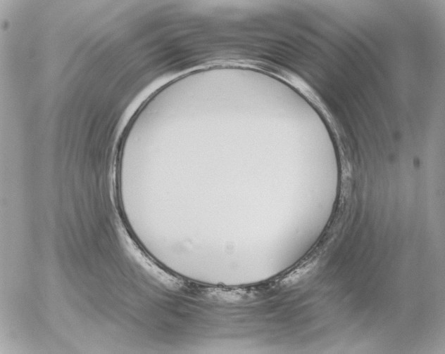 X0000052580955200507292029