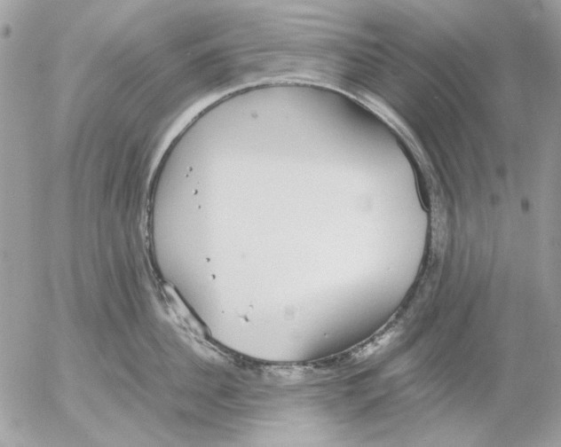 X0000052580956200507292029