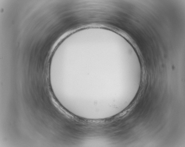 X0000052580958200507292029