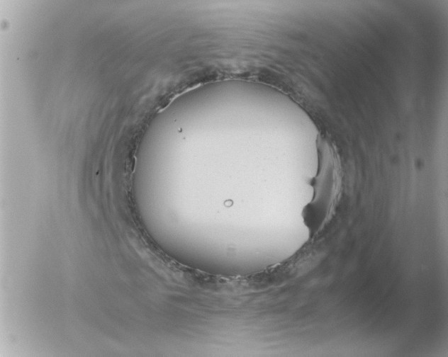 X0000052580961200507292028