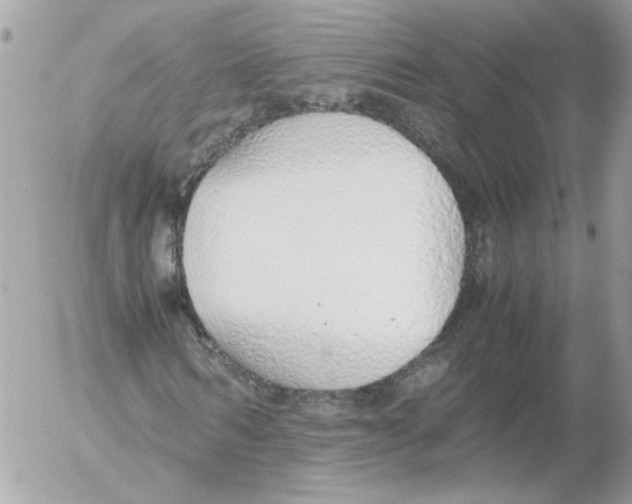 X0000052580962200507292028