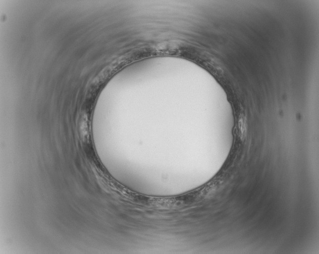 X0000052580963200507292028