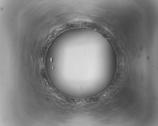 X0000052580965200507292028