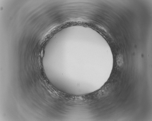 X0000052580968200507292028