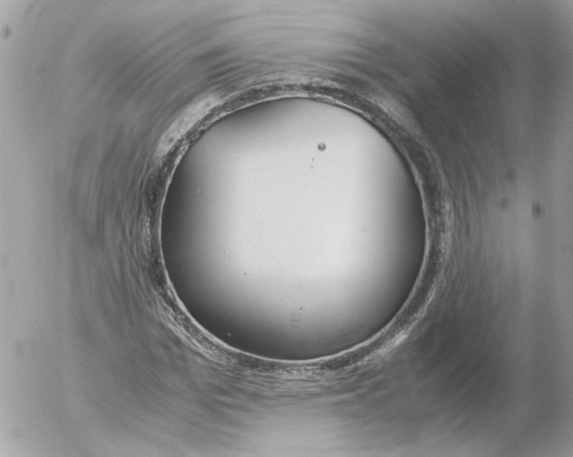 X0000052580969200507292028