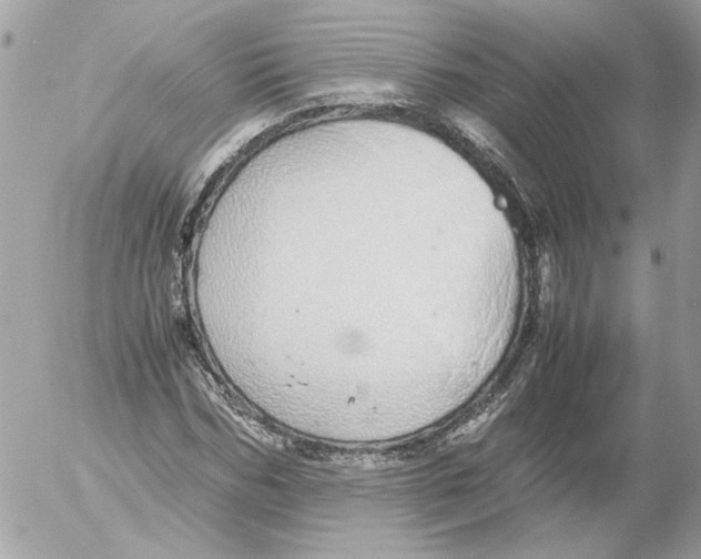 X0000052580970200507292028