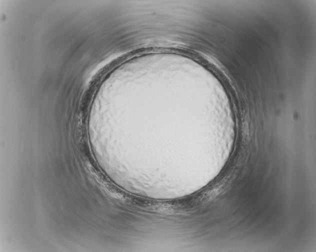 X0000052580971200507292028