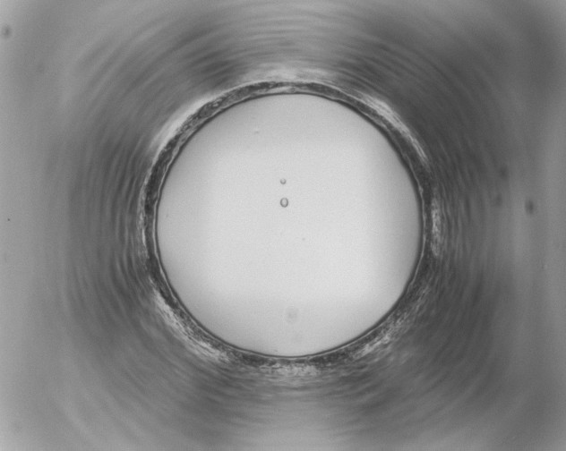 X0000052580972200507292028