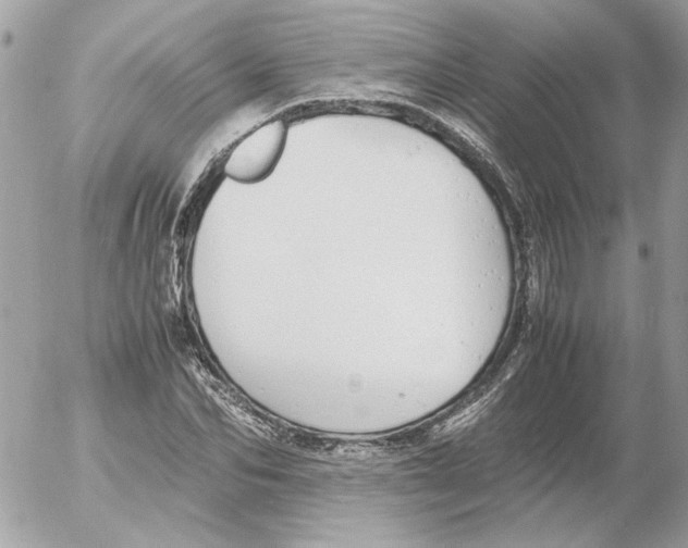 X0000052580974200507292028