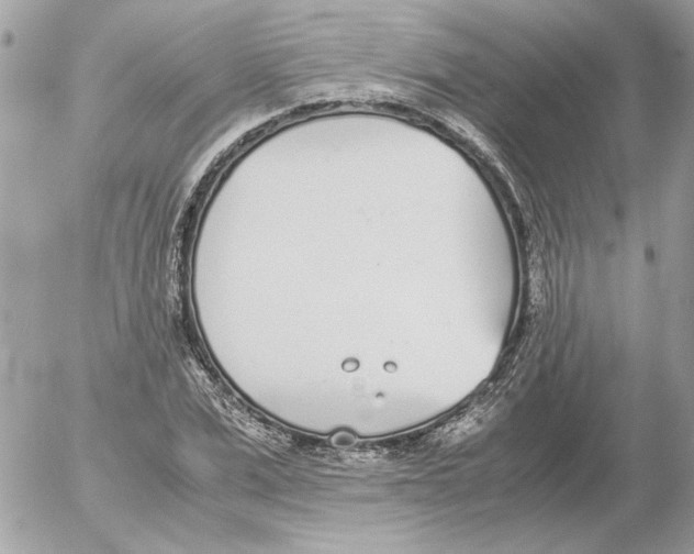 X0000052580975200507292028