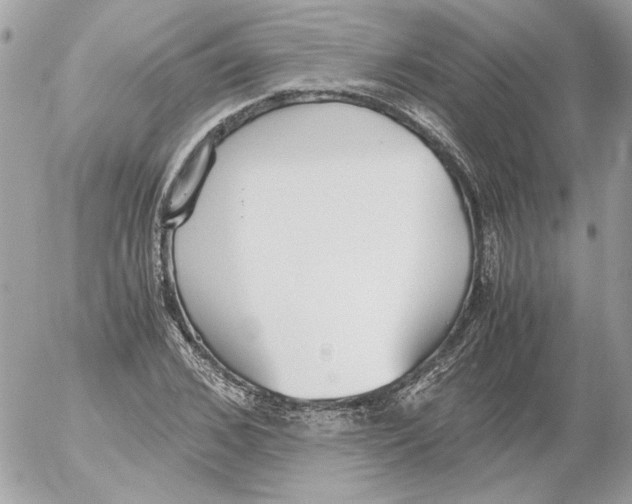 X0000052580976200507292028