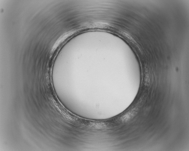 X0000052580978200507292028