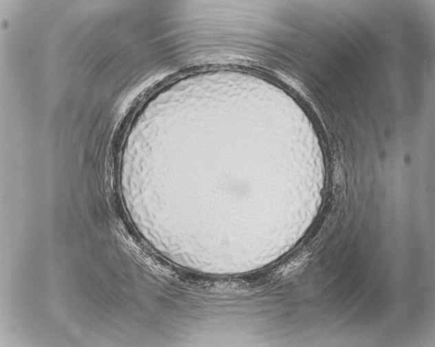 X0000052580979200507292028