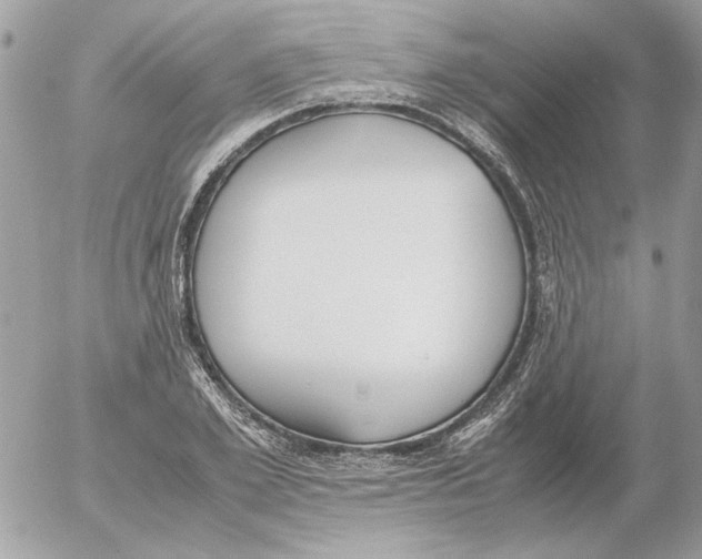 X0000052580981200507292028