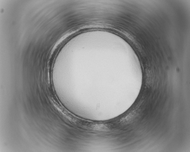 X0000052580982200507292028