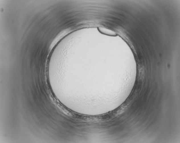 X0000052581002200507292027