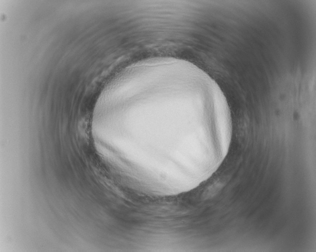 X0000052581010200507292026