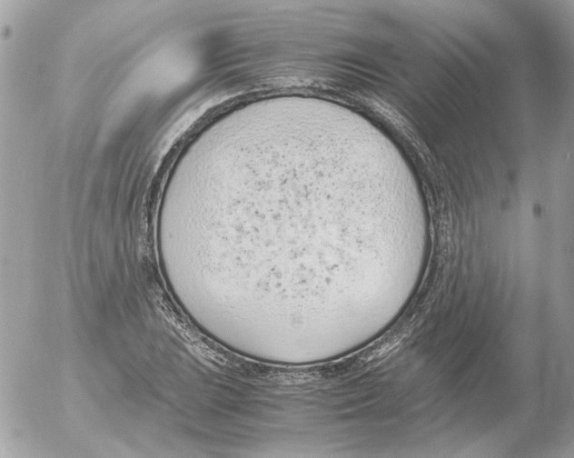 X0000052581023200507292027