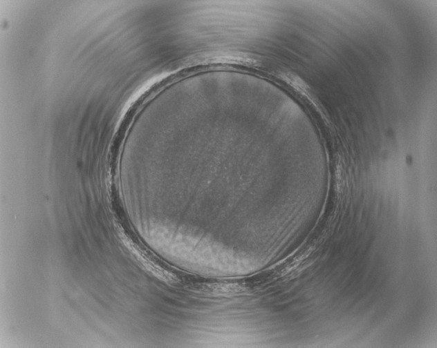 X0000052581024200507292027