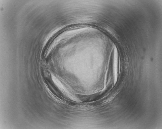 X0000052581077200507292026