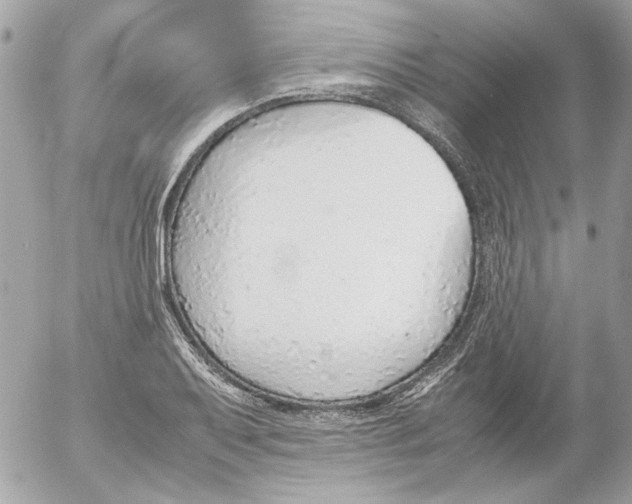 X0000052581079200507292026