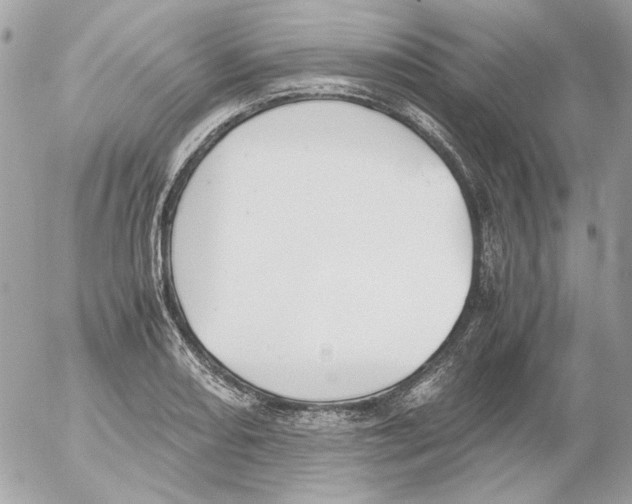 X0000052581082200507292026