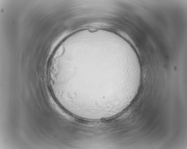 X0000052581091200507292026