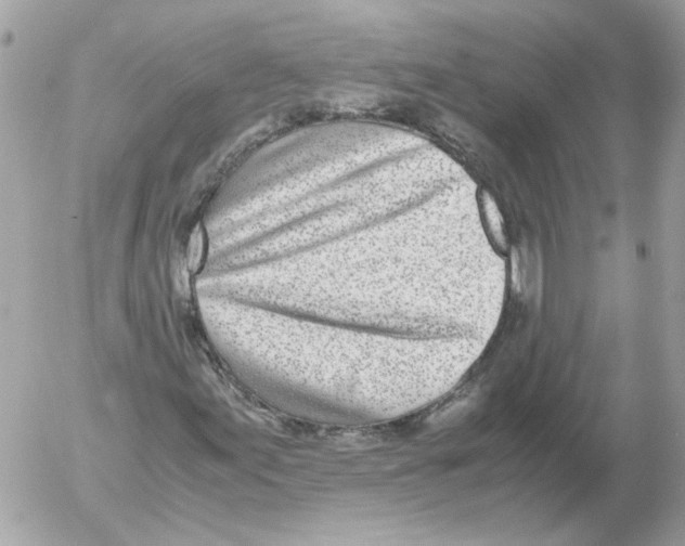 X0000052581155200507292025
