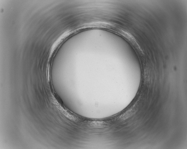 X0000052581180200507292024