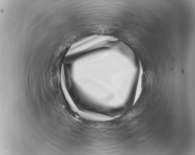 X0000052581202200507292023