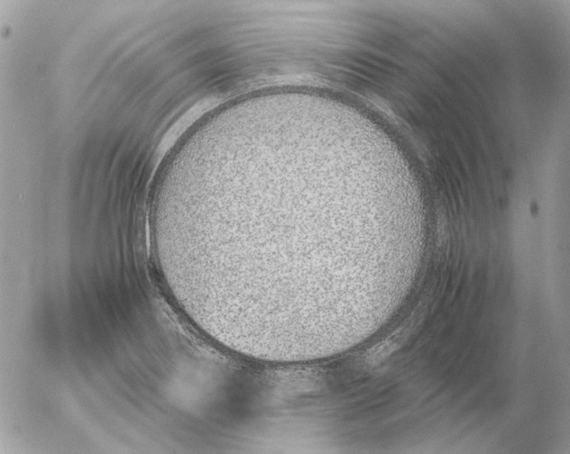 X0000052581274200507292023