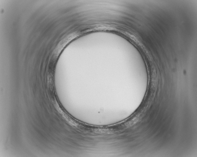 X0000052581281200507292022