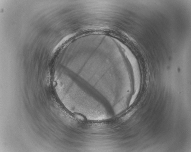 X0000052581306200507292022