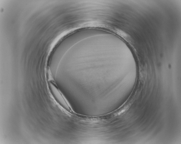X0000052581334200507292022
