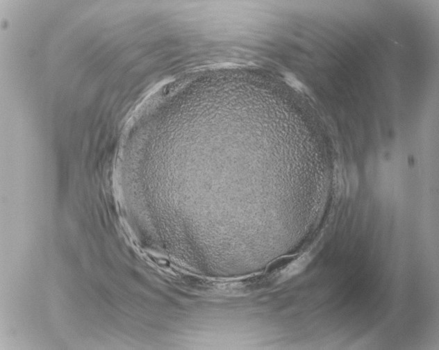 X0000052581353200507292021