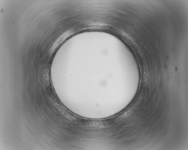 X0000052581362200507292021