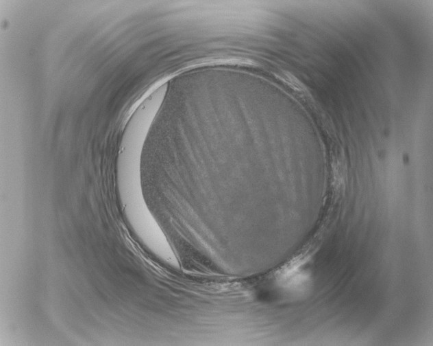 X0000052581369200507292021
