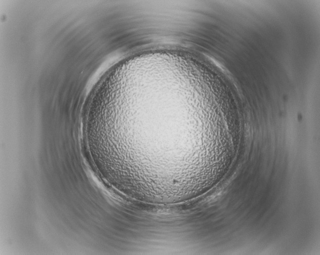 X0000052581418200507292020