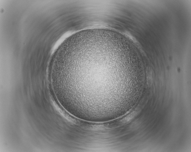 X0000052581422200507292020