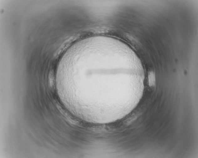 X0000052581444200507292020