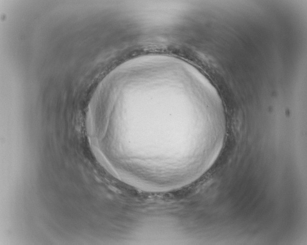 X0000052581445200507292020