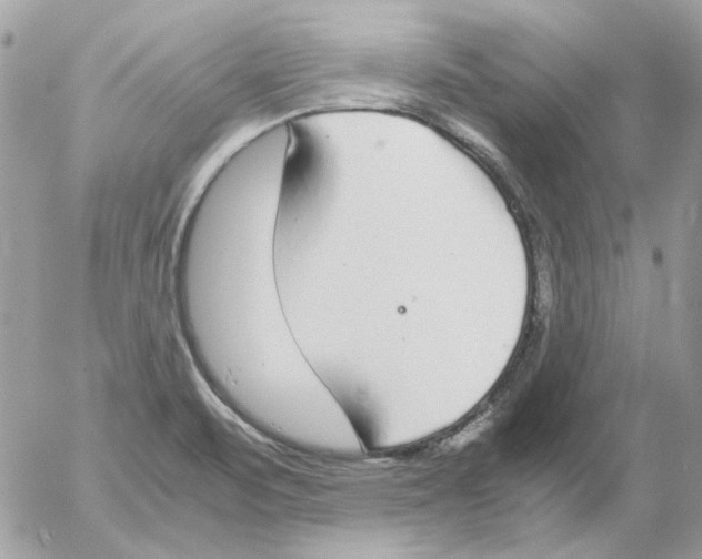 X0000052581471200507292019