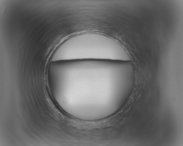 X0000052590002200507010951