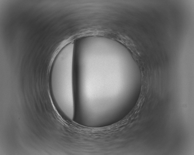 X0000052590003200507010951
