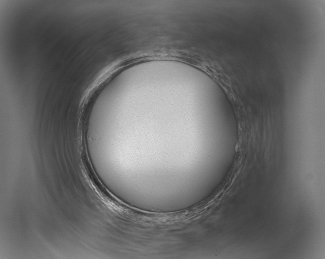 X0000052590005200507010951