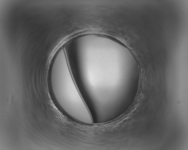 X0000052590007200507010951