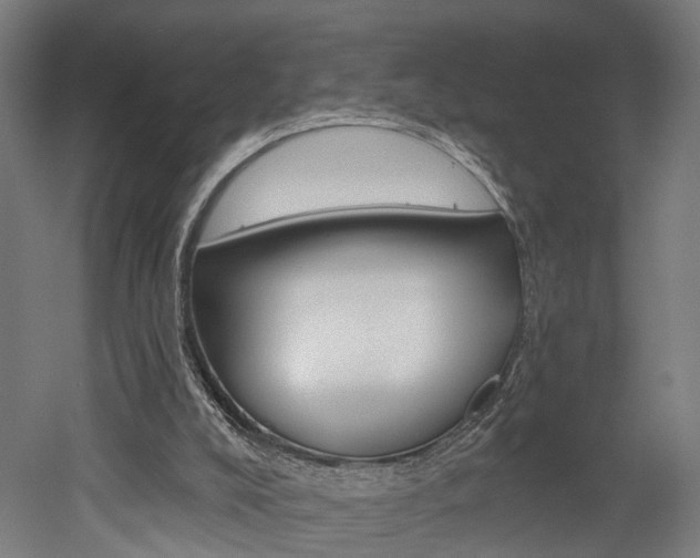 X0000052590008200507010951