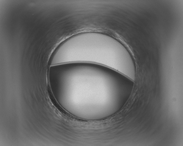 X0000052590011200507010951