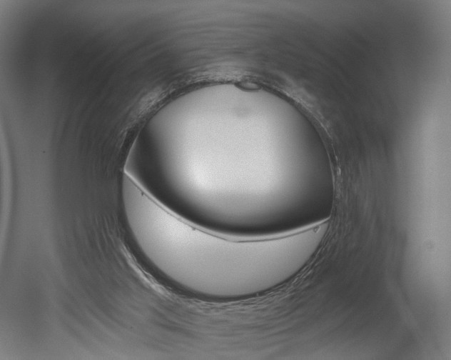 X0000052590013200507010951
